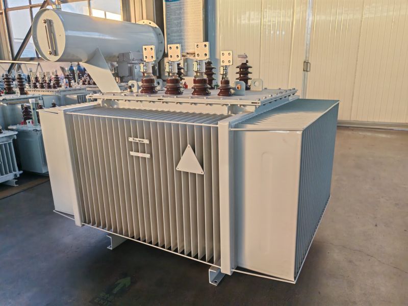 油浸（jìn）式電力變壓器